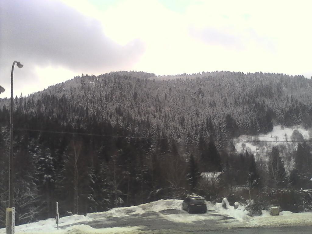 Gite De L'Ours La Bresse Εξωτερικό φωτογραφία